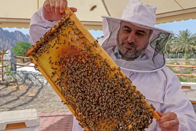 Hatta Mountain Tour, Hatta Dam, Heritage Village, Honeybee Garden - The Honey Bee Discovery Centre offers a hands-on change