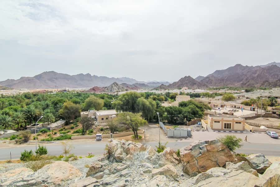 Hatta Safari & Honey Bee Garden Visit - Picnic breakfast before the main sights