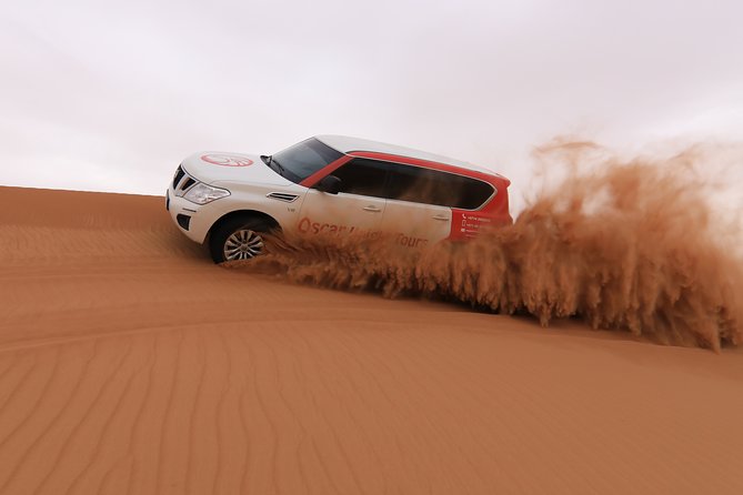 High Red Dunes with Camel Ride, Sandboarding, Falcon Show and VIP BBQ Dinner - The red dunes are the main event