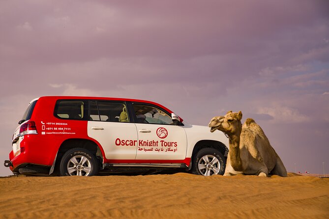 High Red Dunes with Camel Ride, Sandboarding, Falcon Show and VIP BBQ Dinner - Camel riding is brief but memorable