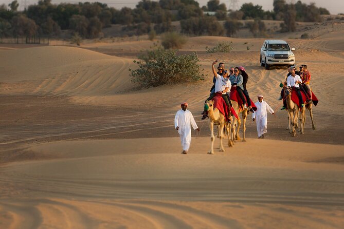 High Red Dunes with Camel Ride, Sandboarding, Falcon Show and VIP BBQ Dinner - Falconry, henna, and the camp setting