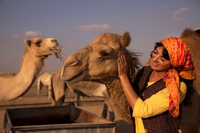 High Red Dunes with Camel Ride, Sandboarding, Falcon Show and VIP BBQ Dinner - The early wait and optional quad bikes