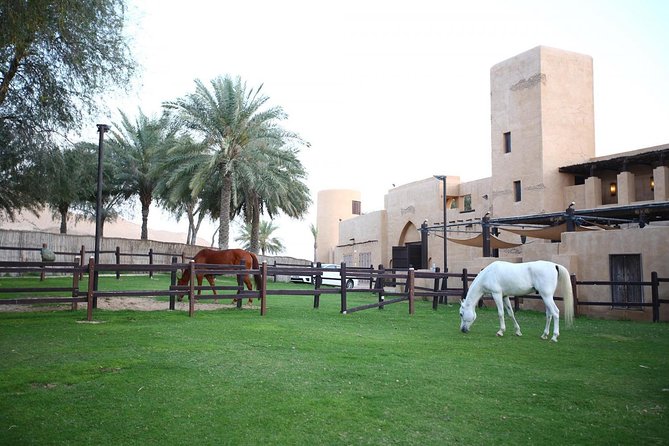 Horseback Riding in Dubai Desert with Transfers - Key points at a glance