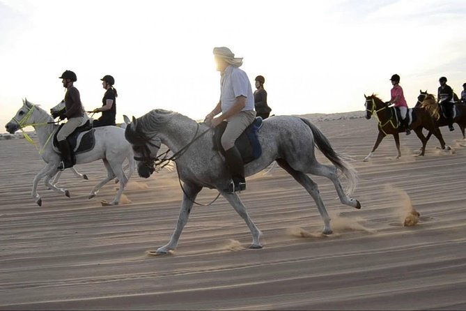Horseback Riding in Dubai Desert with Transfers - Meeting your horse at the equestrian center