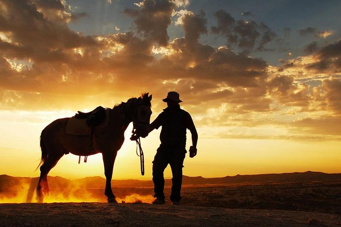 Horseback Riding in Dubai Desert with Transfers - Morning sand or late afternoon color
