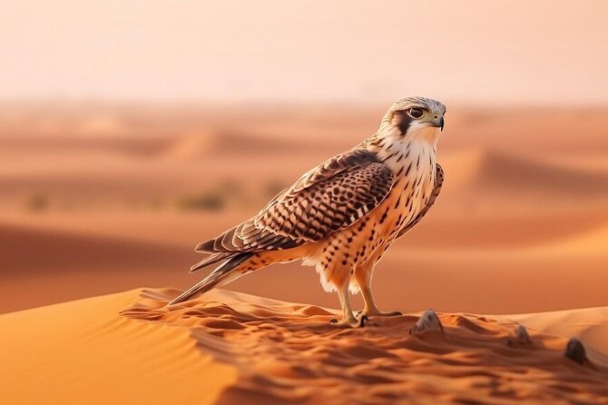 Hot Air Balloon Dubai Exotic Sunrise With Buffet Breakfast - The 3:30 am pickup from Dubai
