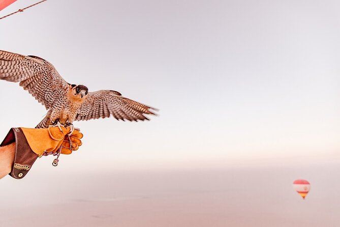 Hot Air Balloon Ride & In-flight Falcon Show including Transfers - What the $307 price includes
