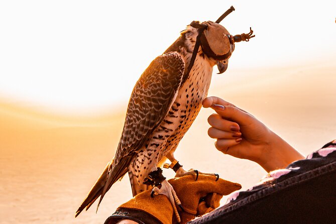 Hot Air Balloon Ride & In-flight Falcon Show including Transfers - Communication and crew performance
