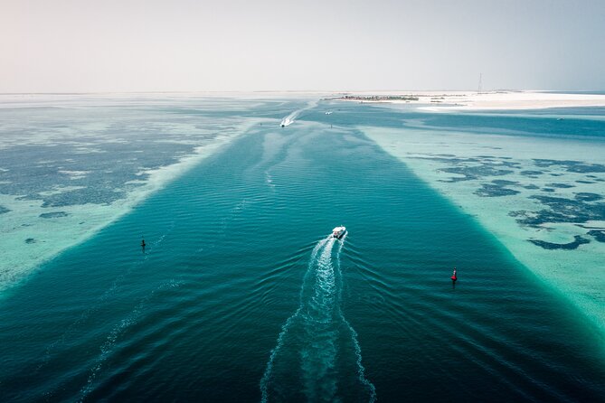 Island Hopping Sharing-4 hours trip - Qasr Al Watan and Etihad Towers from the sea