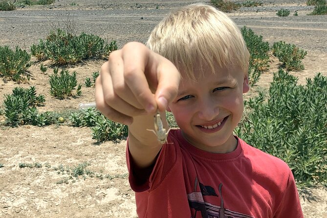 Journey to the Heart of the Emirates - Showkah wadi, farm, and falaj irrigation