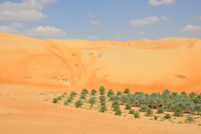 Liwa Full Day Desert Safari (exploring) - Key points before you book
