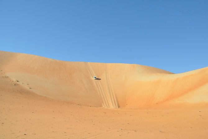 Liwa Full Day Desert Safari (exploring) - A camel farm with a practical cultural angle