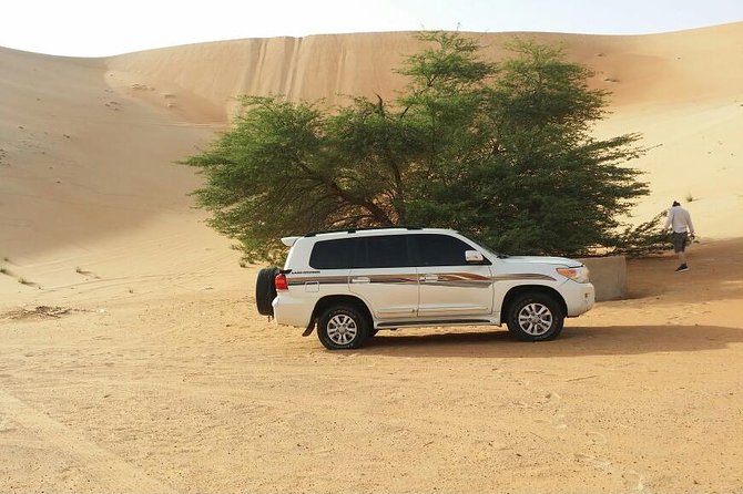 Liwa Full Day Desert Safari from Abu Dhabi - Key points to know before booking