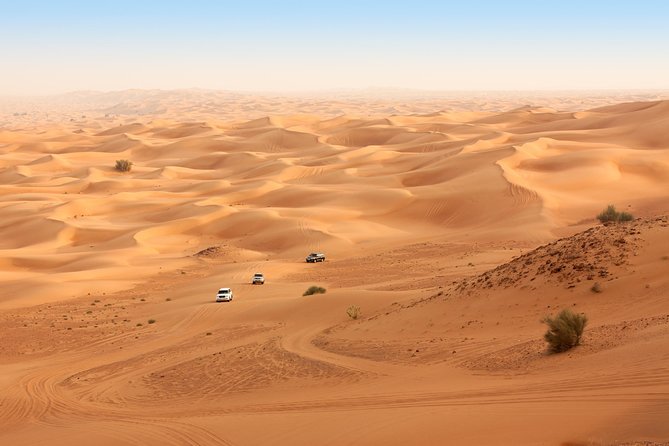 Liwa Full Day Desert Safari from Abu Dhabi - Why Liwa is worth the long drive from Abu Dhabi