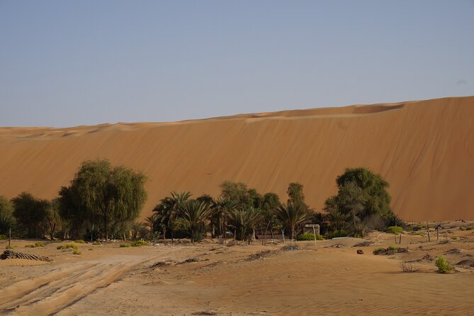 Liwa Full Day Desert Safari from Abu Dhabi - Liwa Fort and the desert’s old defenses