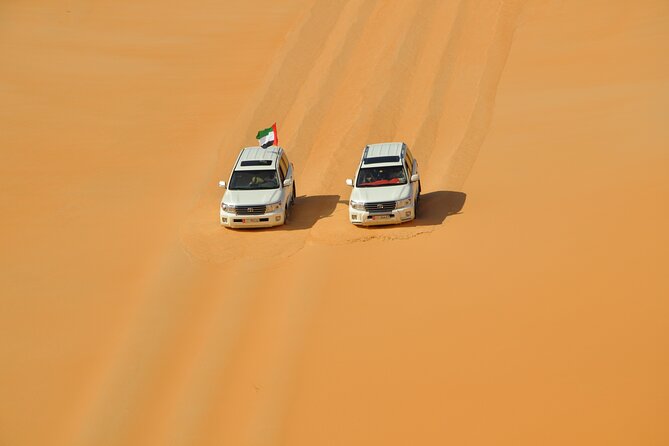 Liwa Full Day Desert Safari from Abu Dhabi - What the private price really buys you