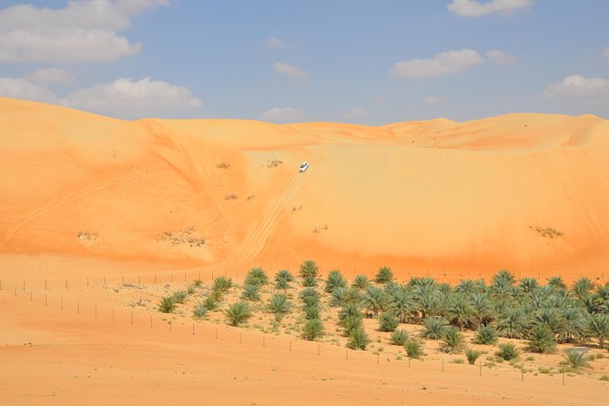 Liwa Full Day Desert Safari from Abu Dhabi - Dune bashing in the Empty Quarter