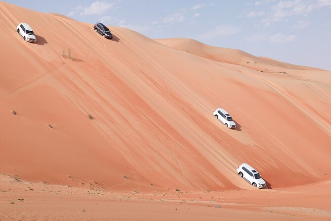 Liwa Oasis Desert Drive from Abu Dhabi - Key points to know before booking