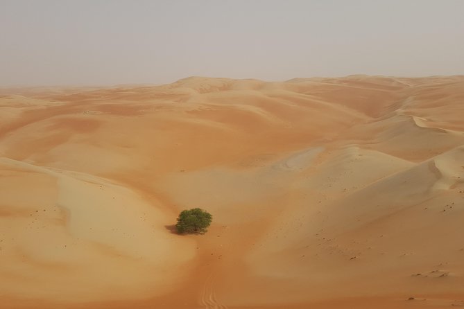 Liwa Oasis Desert Drive from Abu Dhabi - Listening to the desert silence