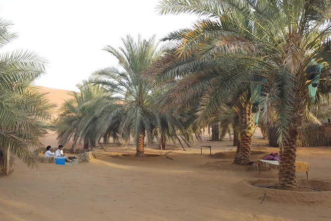 Liwa Oasis Desert Drive from Abu Dhabi - How the nine-hour day feels in practice