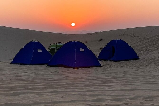 Liwa Over Night Safari - Key details to know before you book