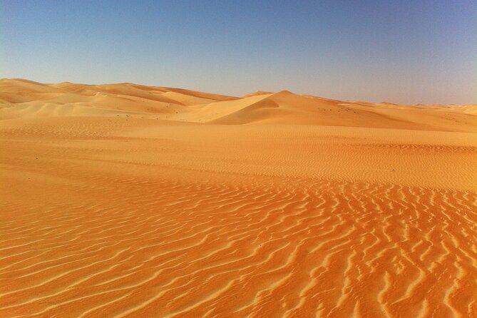 Liwa Over Night Safari - Liwa Oasis and the camel farm