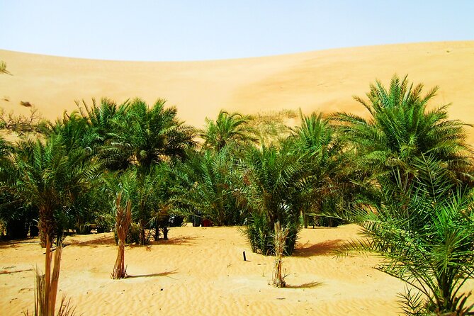 Liwa Over Night Safari - Sunrise and the return to Abu Dhabi