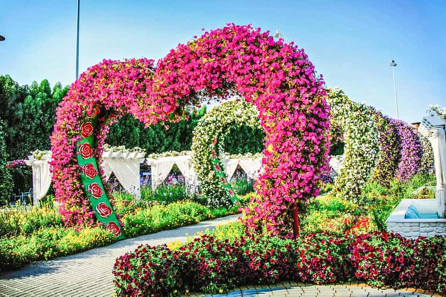 Miracle Flora & Fauna Marvels at Miracle Garden - Key points before you book