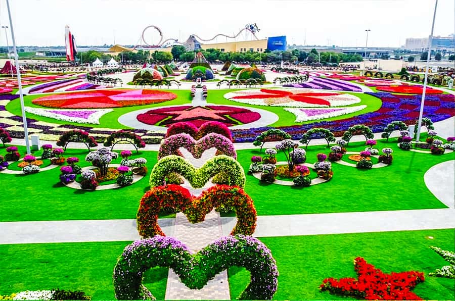 Miracle Flora & Fauna Marvels at Miracle Garden - Miracle Garden and its 45 million flowers