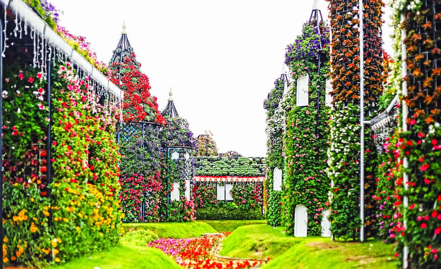 Miracle Flora & Fauna Marvels at Miracle Garden - Is $114 good value?