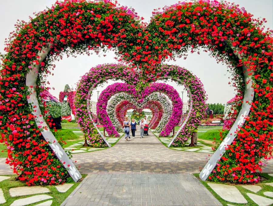 Miracle Flora & Fauna Marvels at Miracle Garden - When to book, and when to skip it