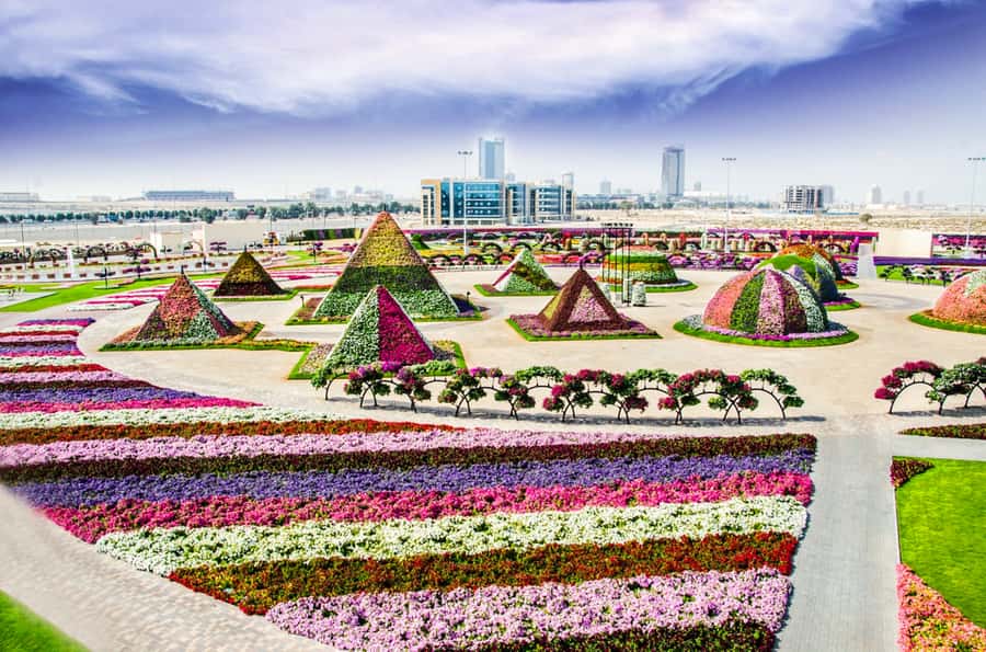 Miracle Flora & Fauna Marvels at Miracle Garden - FAQ