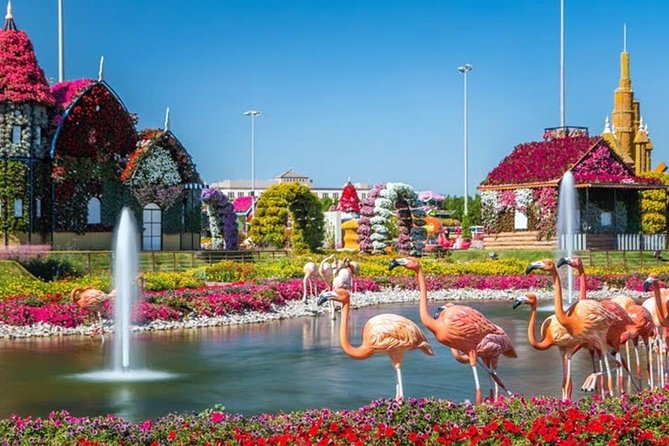 Miracle Garden Dubai Including Pickup & Drop Off - Should you book Miracle Garden with transport?