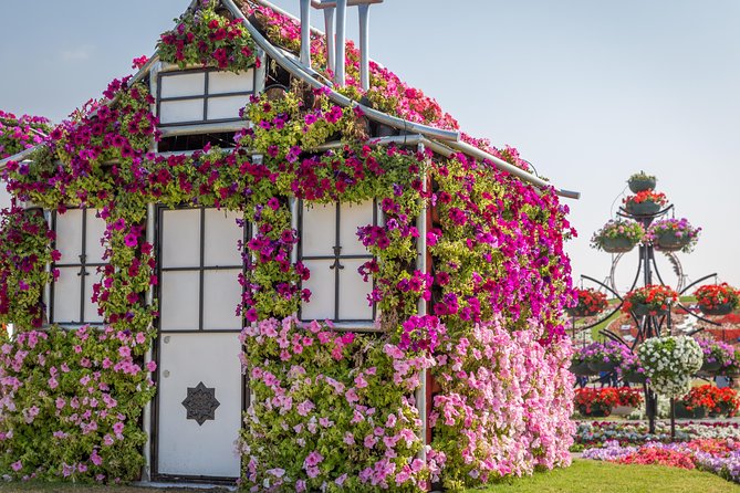 Miracle Garden In Dubai tickets with pickup drop option - What You See at Dubai Miracle Garden
