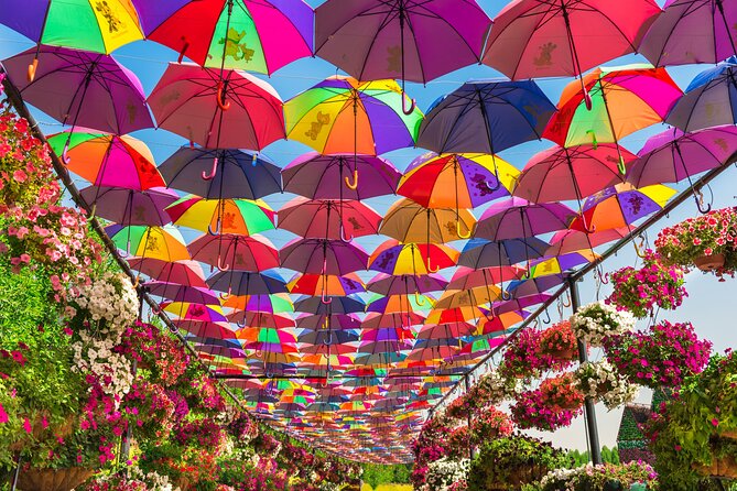 Miracle Garden In Dubai tickets with pickup drop option - Is $36.28 a Fair Price?
