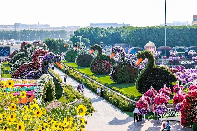 Miracle Garden Ticket Dubai with Shared Transfers - Is the $54 price good value?