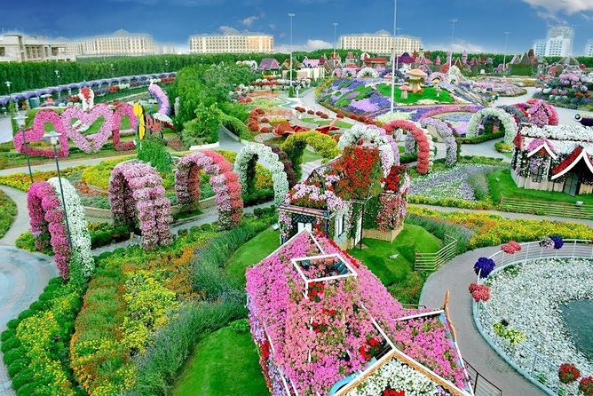 Miracle Garden Ticket Dubai with Shared Transfers - The shared transfer from your Dubai hotel