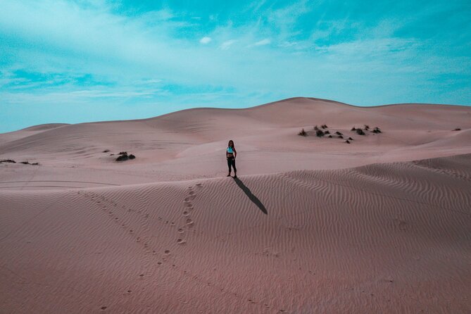 Morning Desert Safari Camel Ride Dune Bashing and Sand Boarding - The camel ride offers a slower desert moment