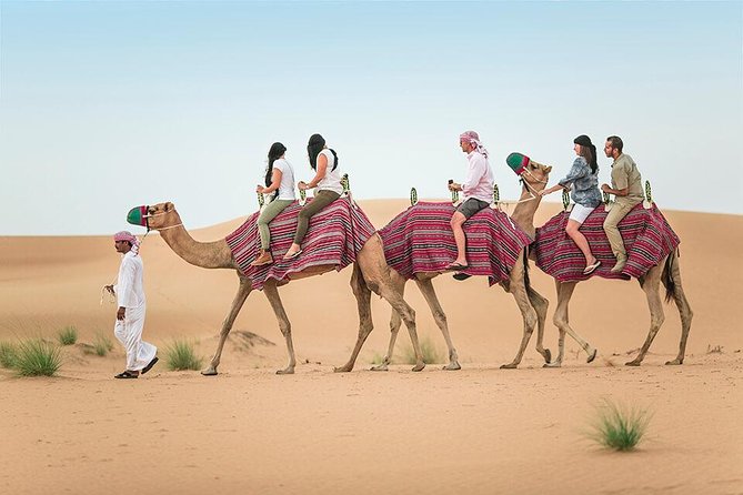 Morning Desert Safari Dubai with Dune Bashing and Sand Boarding - Why a morning safari works better than you might expect