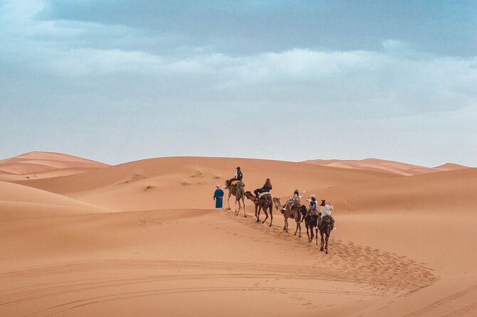 Morning Desert Safari From Abu Dhabi -Camel Ride,Sand Boarding,Camel Farm Visit - Optional quad bikes and add-ons