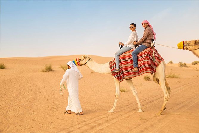 Morning Desert Safari in 4x4 Shared Vehicle - The Three-Hour Schedule and Your Day