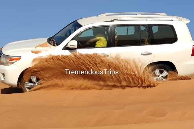 Morning Desert Safari in Dubai Private vehicle - Private transport and the value for six people