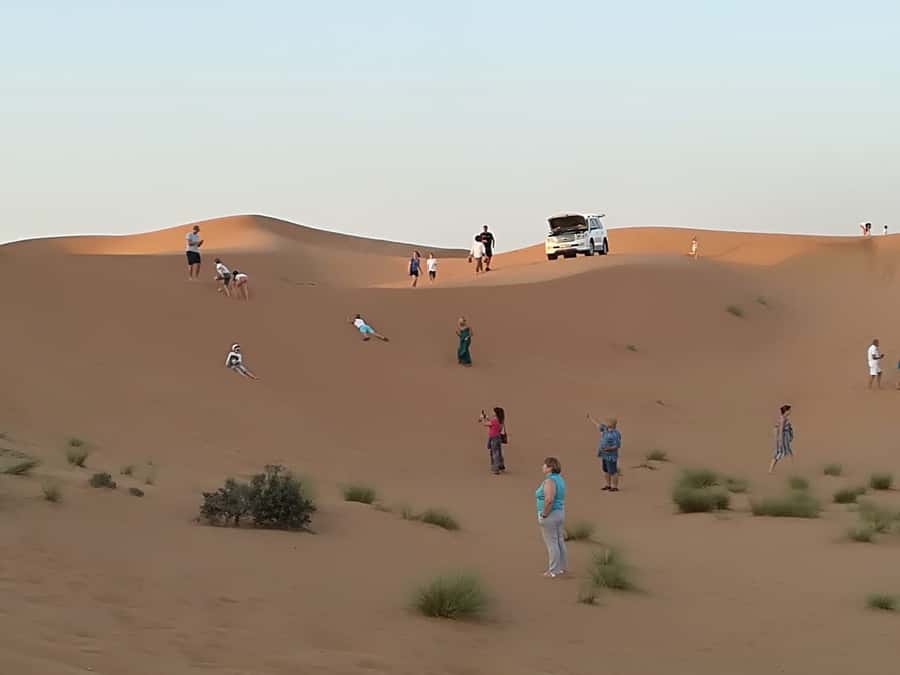 Morning Desert Safari in Ras Al Khaimah - Meeting the camels at the farm