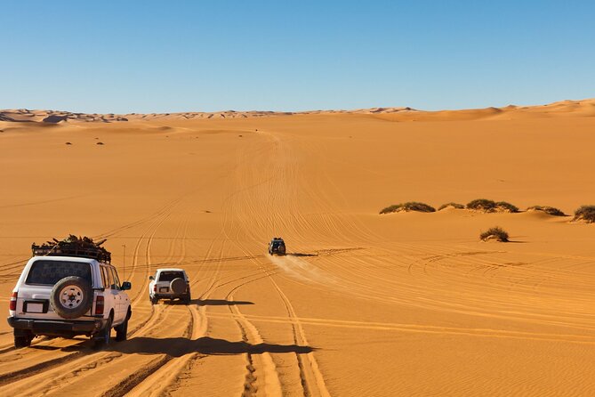 Morning Desert Safari plus Quad Bike, Sandboard and Camel ride - Dune bashing across uneven sand