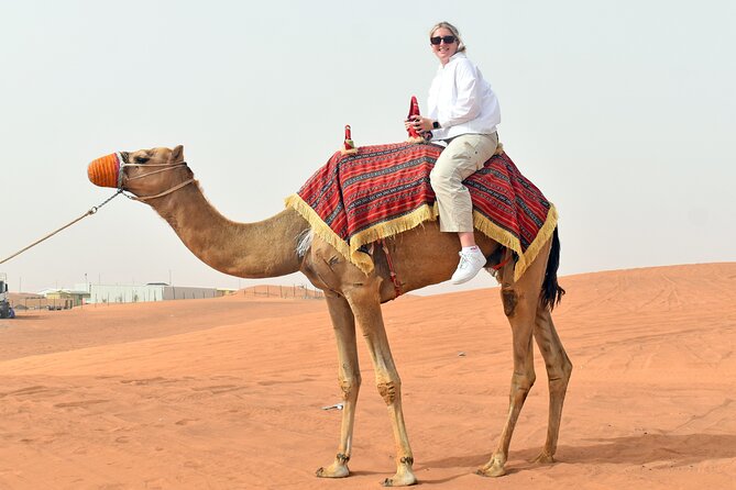 Morning Desert Safari, Quad Bike, Sandboard and Camel Ride - Meeting camels at the farm