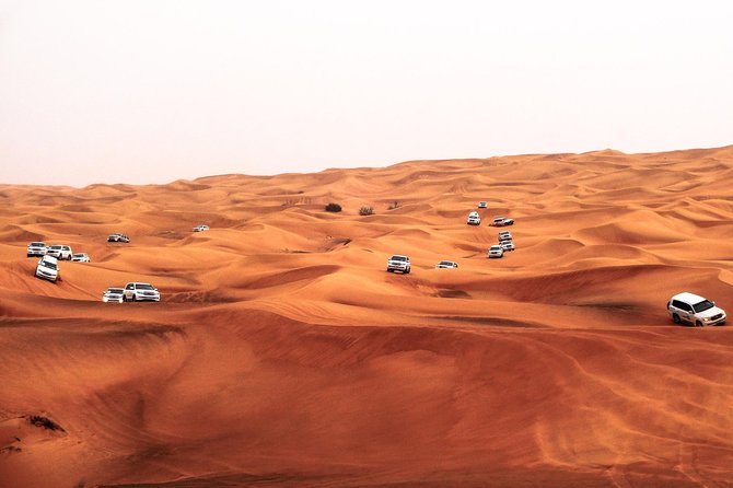 Morning Desert Safari With 20-Minutes Camel Ride - Booking Advice and Cancellation Terms