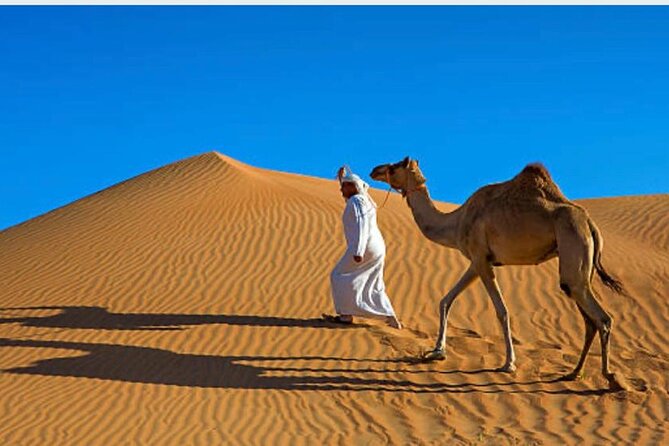 Morning Desert Safari with Camel Ride and Quad Bike - Who should book this morning safari