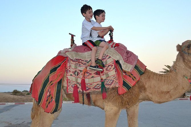 Morning Desert Safari with Camel Ride and Sand boarding - The dune-bashing ride across Dubai’s sand