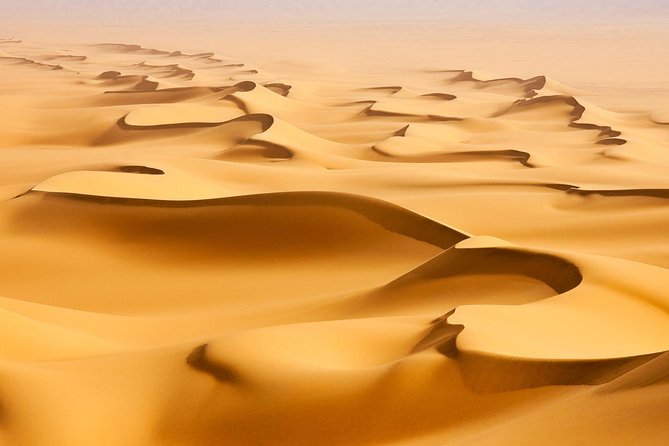 Morning Desert Safari with Camel Ride and Sandboarding - The 35 to 40 minute dune drive