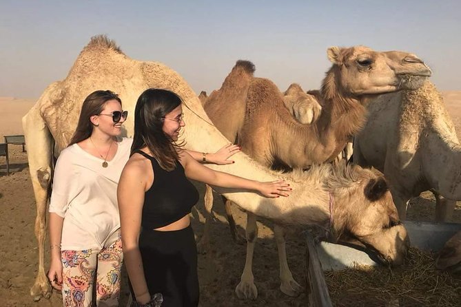 Morning Desert Safari with Camel Ride & Sand Skiing Private Tours - Key points before you book